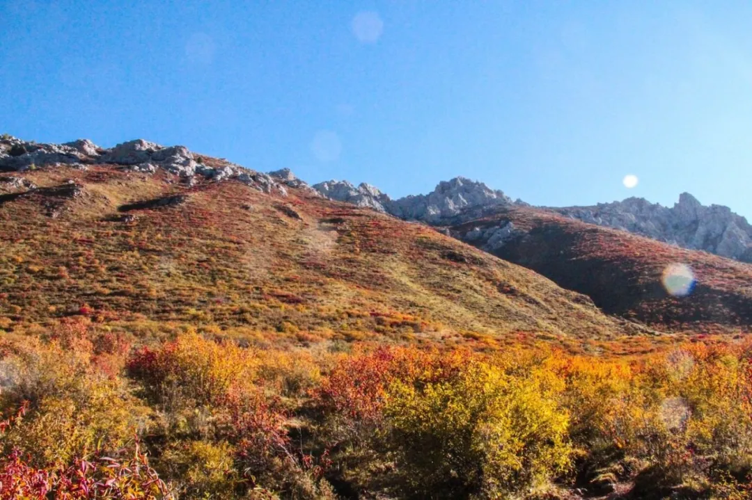 九寨沟@比九寨沟美，比稻城迷人！藏在川西的这个“徒步天堂”，人少景美还免费！
