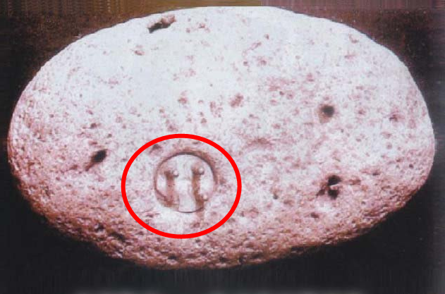 『』科学出现无法解释的一幕:10万年前的三相插头,谁在用它充电?