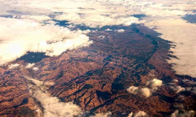 生物学家|世界上交配时间最短的动物，只有5秒就结束，“物竞天择”真残酷