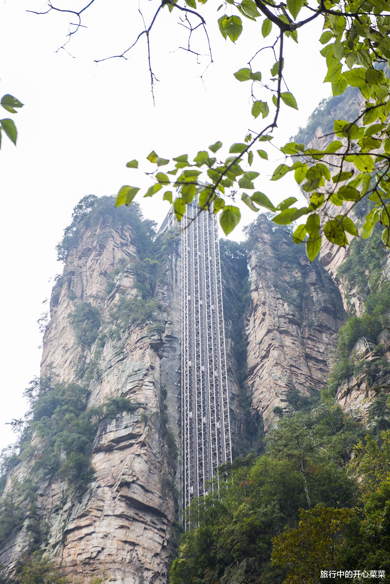 张家界|中国被游客误解最深的景区，以为遍地是坑，其实让人感觉很温暖