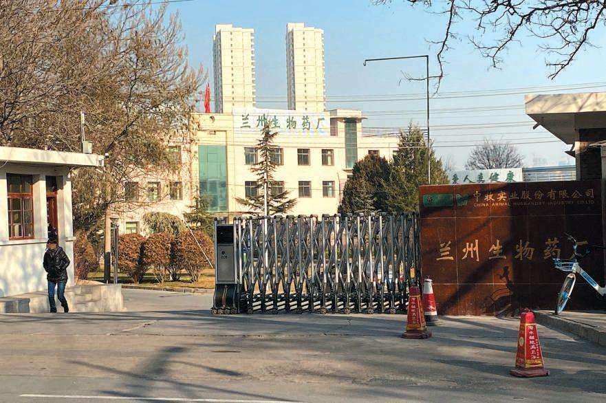 辽沈晚报|“兰州布病事件”确认阳性3245人！专家详解！这到底是什么病？