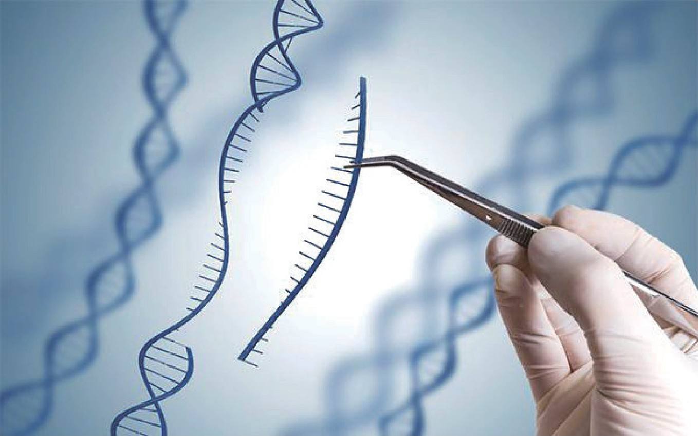 「基因」人的寿命早已被确定？ 科学家头疼， 是谁将“命数”写入人体基因？