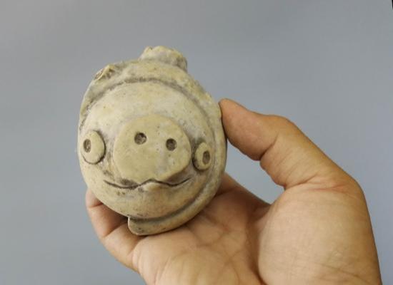 三星堆|三星堆里挖出来的猪上热搜了！这下有确切的证据能证明有人穿越了