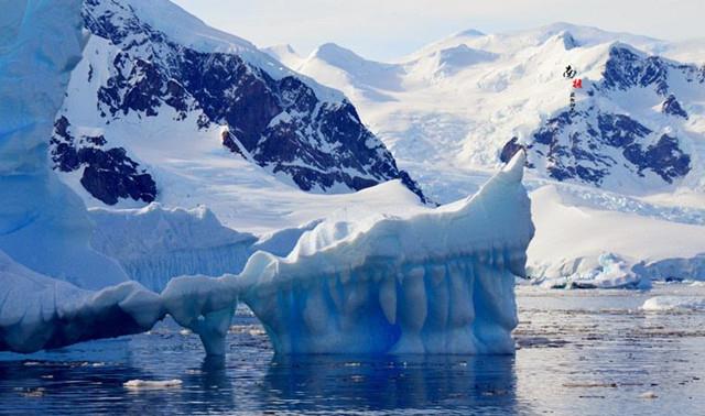 『南极』科学家在南极冰下800米处，发现新的生命世界，颠覆了人类的认知