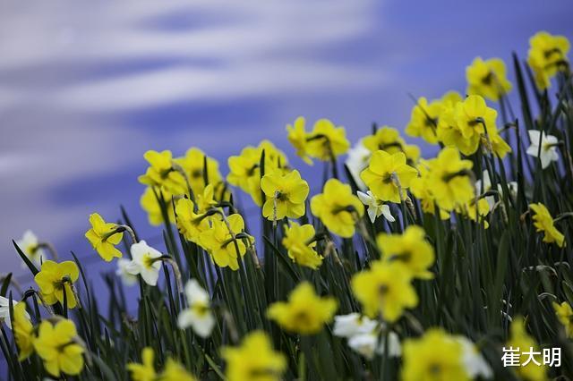 []6月下旬开始横财赚不停，贵人接二连三到来，一家人安康的4生肖