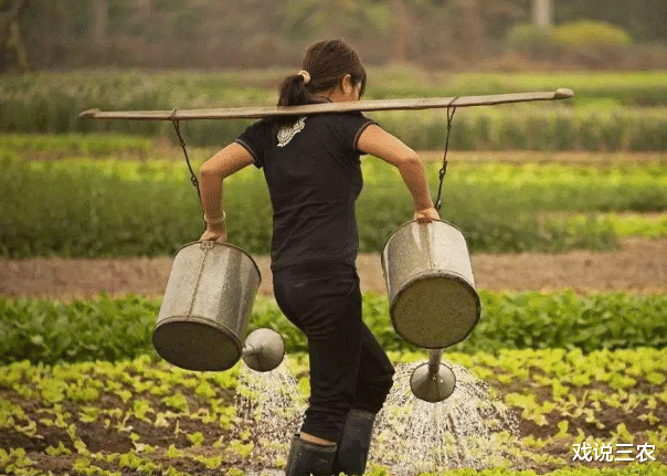 戏说三农|9月起，农村严查2类行为，与土地相关！如若顶风违规，一查到底！