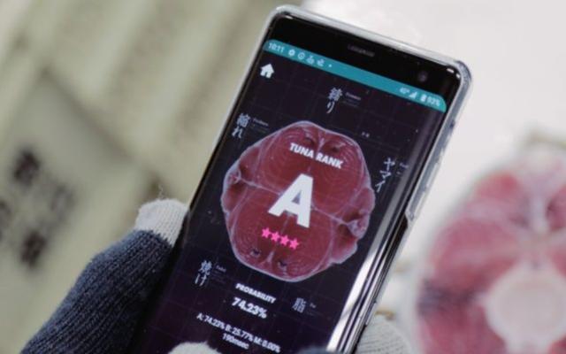 ai|日本旋转寿司餐厅利用 AI 来为鲔鱼评分