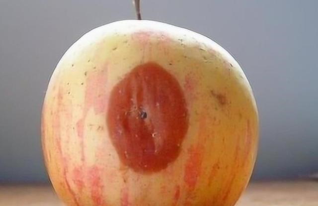 肝脏@超市里的烂水果都去哪了?知道了以后,整个人都不好了