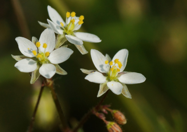 运势|分手后，始终会傻傻在原地坐等旧爱回头的星座，放不下、舍不得