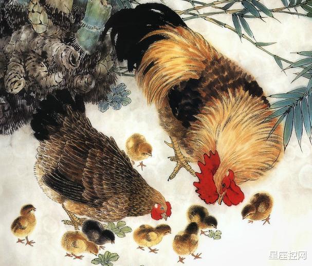 生肖|聪慧过人，自强不息，遇到越多挫折就越能够快速成长的三大生肖
