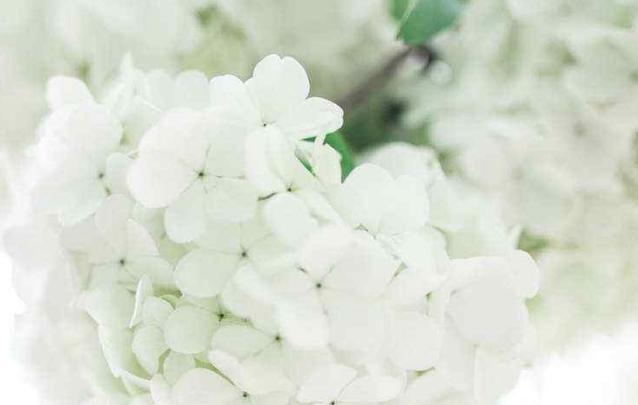 金牛座：6月份，感情来之不易，且行且珍惜的星座，恋爱不是你说的算