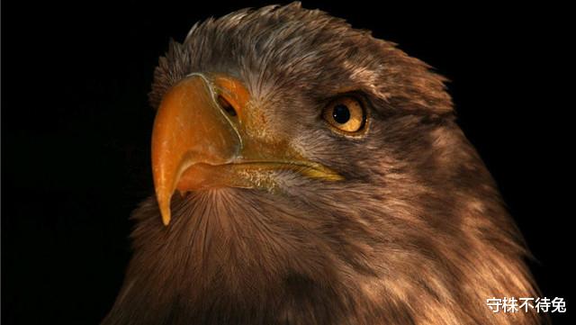 「」10个冷知识:人类的身体,比我们想象中的要坚韧许多