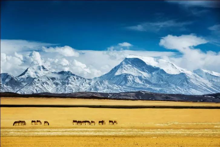 『西藏』阿里,才是西藏的解药