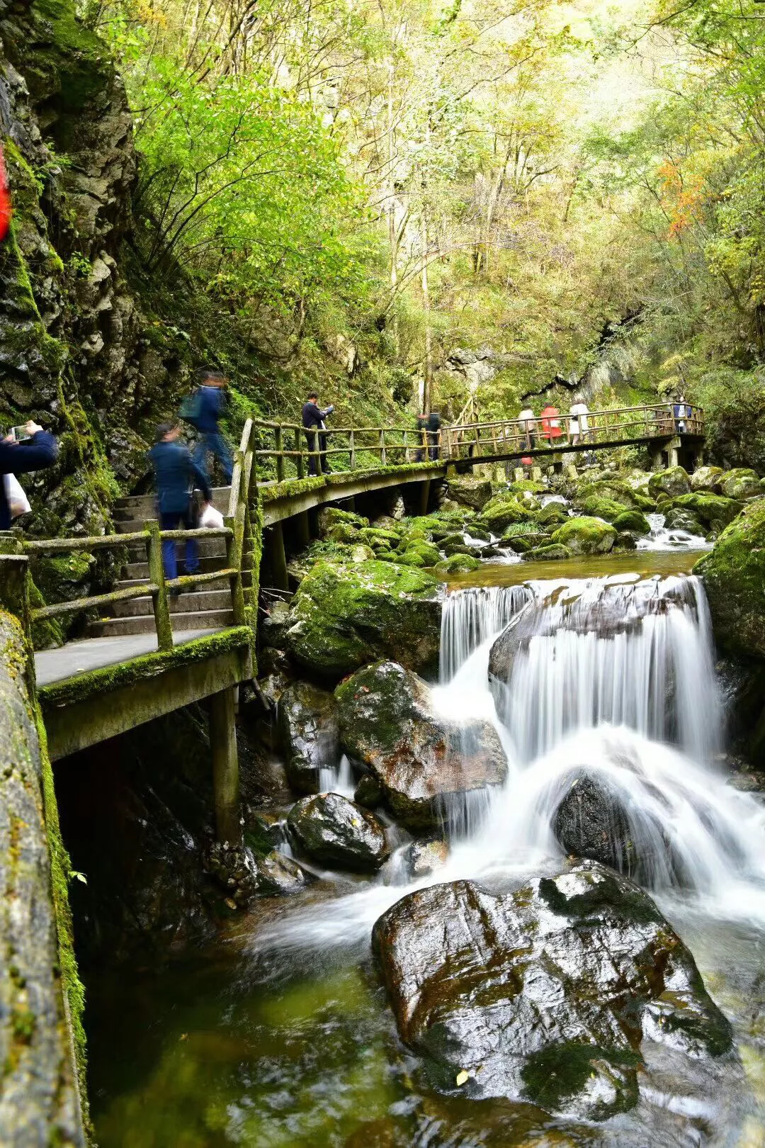 [秦岭]一个美了四季的地方，她就在秦岭山里