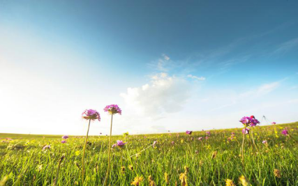 【白羊座】7月，桃花泛滥，红鸾星闪耀，缘分天定爱情回头，旧爱哭着求你归