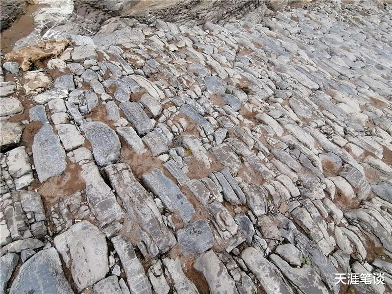 阳泉 蔚为壮观娘子关，超低限速太缺德，气愤难耐阳泉路