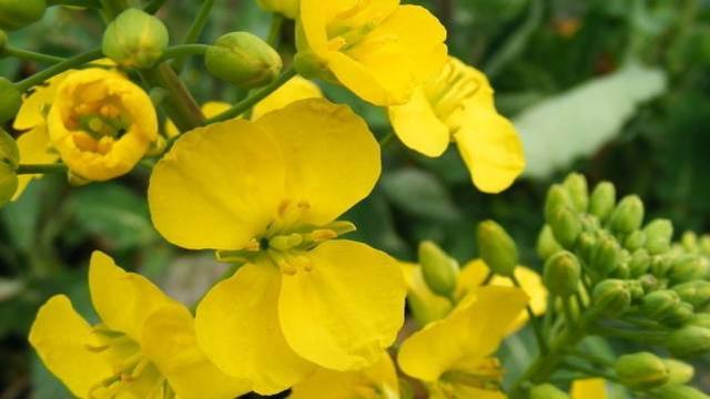 天蝎座|懂得主动谦让，很大方的星座，潇洒豁达，心里有大智慧