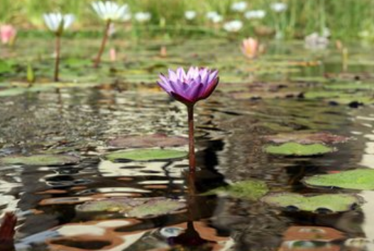 「大富大贵」进入7月，运势飙涨，4属相横财飞进门，大富大贵，家庭和谐幸福