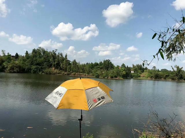 :0.8匹配0.8不奇怪;鱼情、垂钓目的定线是基本“定法”