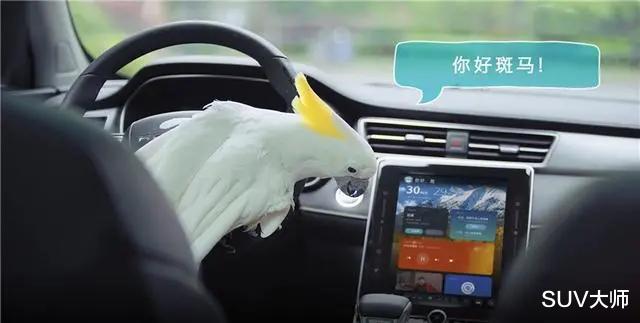 本田CRV|1.5T国产SUV，你选马力大的还是尺寸大的？