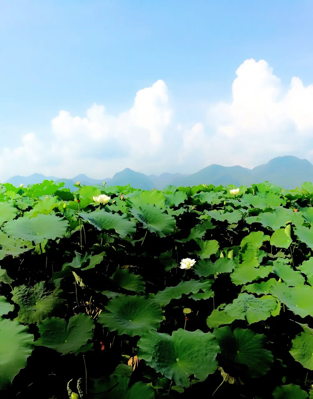 【旅行】攒钱也要去的10个地方，你去过几个？