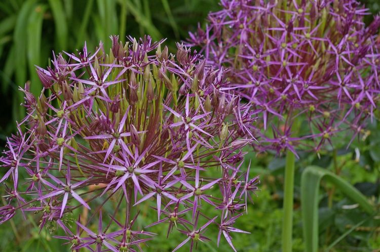 生肖|月底时，前任坚决不回头，选择彻底放弃，寻找新爱情的4大生肖！