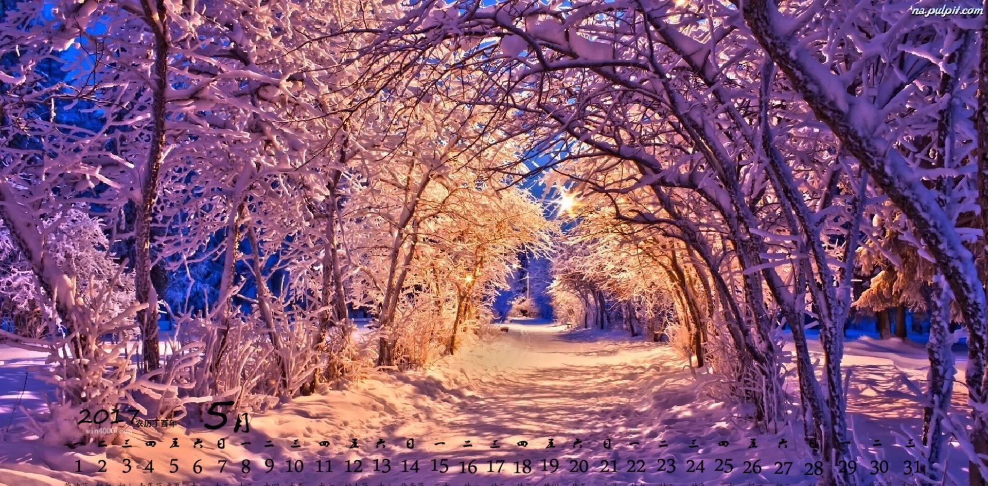 射手座|两周后，好运连绵，幸得爱情，痴情不忘，钟爱一生，恩爱不变