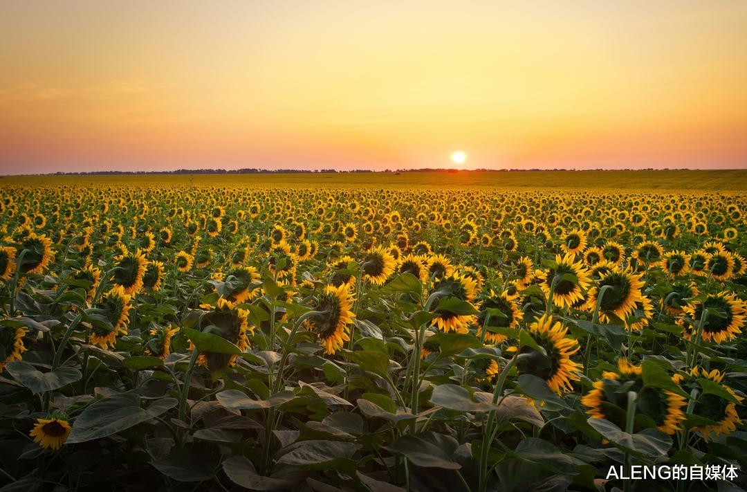 「恒星」宇宙中最小的恒星究竟有多大？仅比木星大约50%