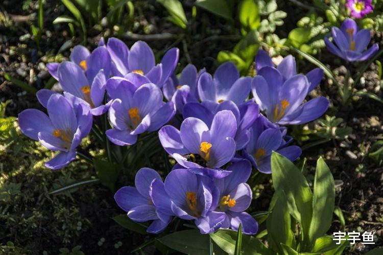 运势|9月开始贵人扶持，逢凶化吉，横财一大把，即将转富贵的四大属相