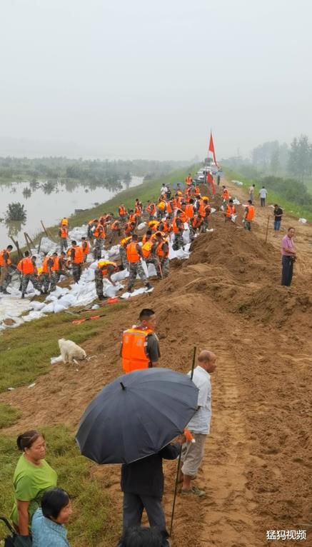 猛犸视频|把最好的给你！固始群众给防汛战士送上特色鹅块表达谢意