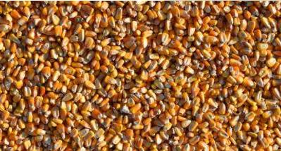 肝癌▲56岁夫妻，一周内先后查出肝癌，提醒：餐桌上的一种食物害人不浅