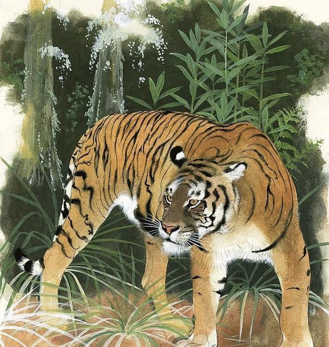 『老虎』辟谣：美洲虎真的能战胜小亚种老虎吗？