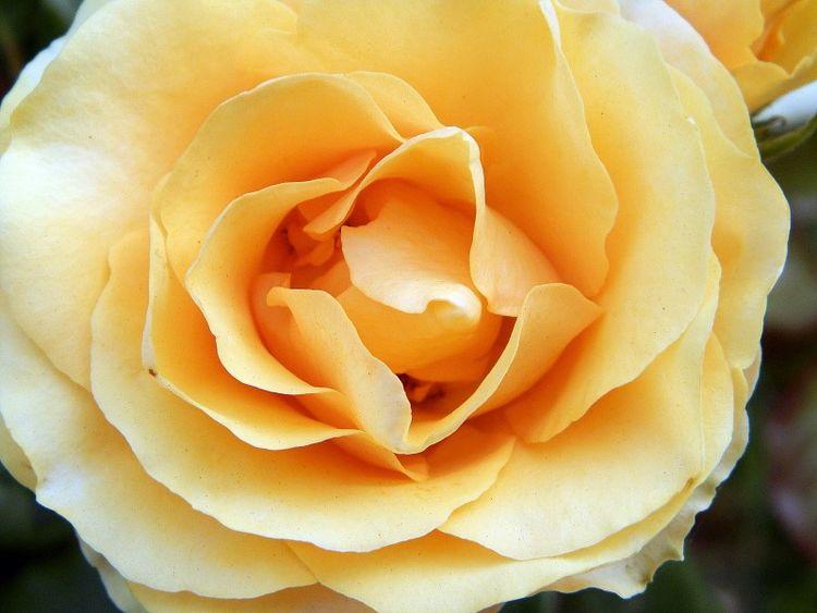 大旺|8月开始赚钱轻松，喜上喜，事业顺遂，有权有势的四大生肖