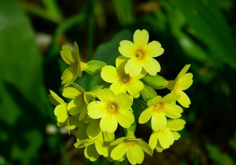 旧爱|10月中，桃花入心，痴情不移，不再与真爱失之交臂的四大星座！