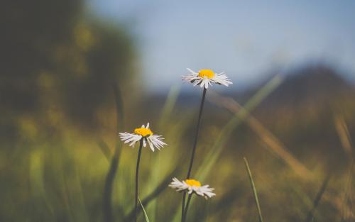 |你无药可救了吗？