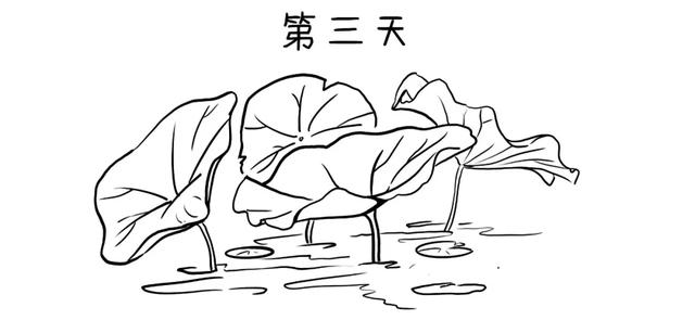 「交易」如果手中只有20万，牢记“顺势、待机、控仓”！建议每天读一遍