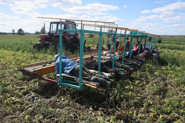 |食物链顶端人类的奇葩行为，世界已经阻止不了他们啦