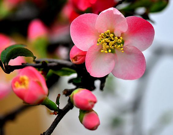 吉星|11月下旬,4属相抽得幸运签,吉星加身,好运不断,生活幸福满满