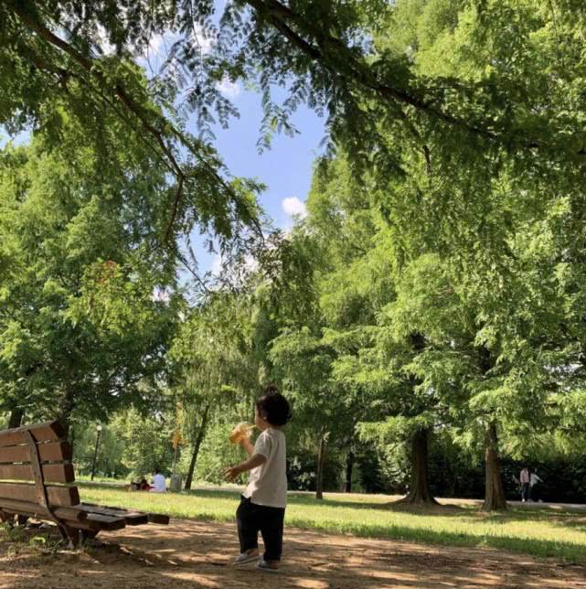 金莎|不愿公开离婚？蔡琳韩国别墅内晒美照，生活惬意一副岁月静好模样