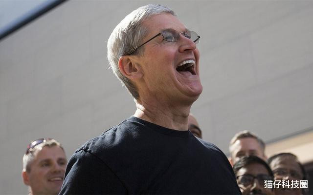 华为|好消息！苹果12青春版，人人都能用得上，可华为怎么办？