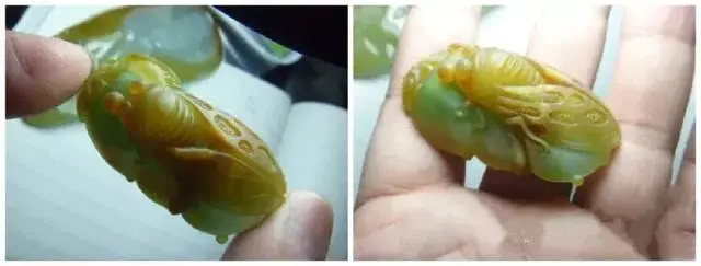 翡翠|无需眼“蝉”，只需要一块小精品翡翠原石，你也可以成为十人九慕之人！