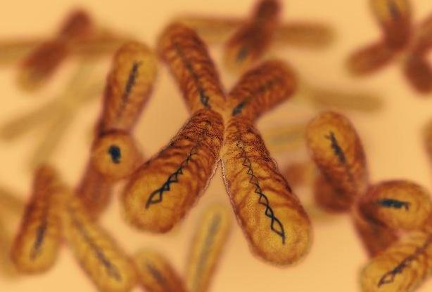 外星人|科学家推测几百年后男性可能会消失,进化成“新男性”,为何?