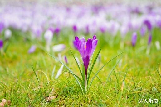 |9月上旬,喜迎人生上上签,4属相正财顺风顺水,生活更上一层楼