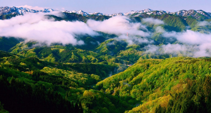 「运势」十二生肖中，3大属相，农历六月运势大涨，事业财运大迸发，把钱赚！