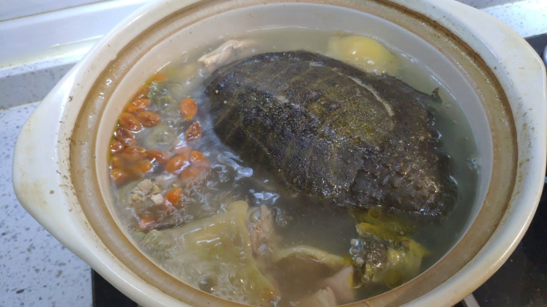『南瓜』盘点6种“残忍”的食物，鱼翅上榜，网友：吃不起也不想吃