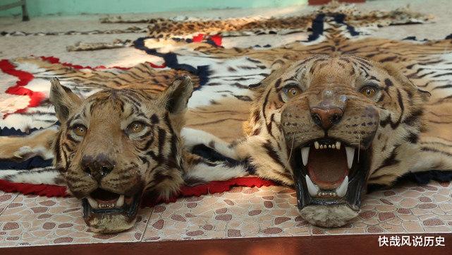 「大象」猛兽的复仇故事：这些著名的猎人，全被猎物反杀