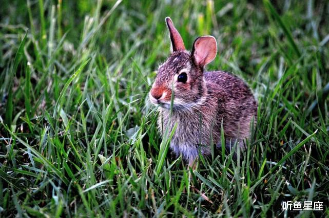生肖|7月12号开始，福星高照，4属相贵人相助，横财大发