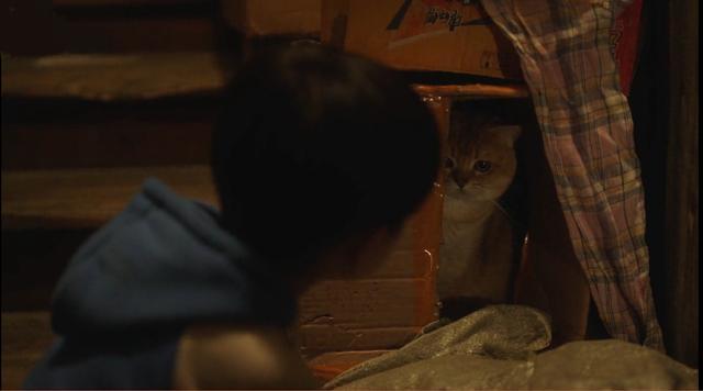 三十而已|《三十而已》每集最后出现的煎饼摊有什么用意？原来导演用心良苦