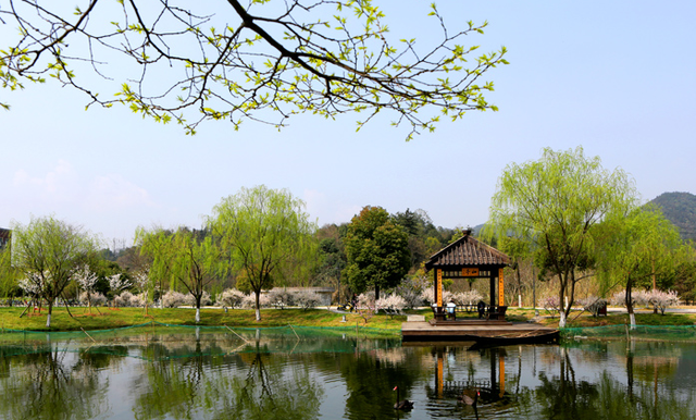 浙江省@浙江最有潜力的一所大学，未来很可能成为双一流，值得学生报考！