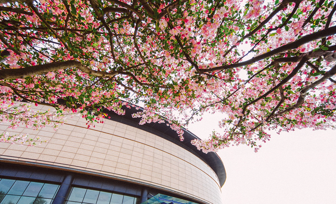 『』注意！这些大学改名，改制！2020年录取分数可能会有重大变化！